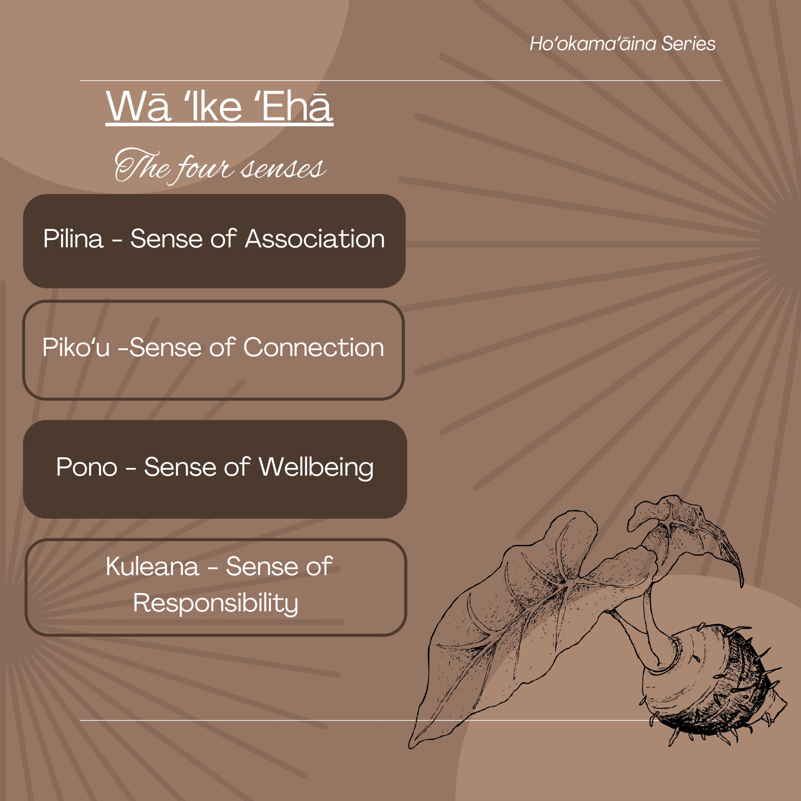 Hooikaika Partnership Wā ʻIke ʻEhā – The Four Senses